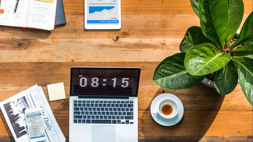 seo optimization