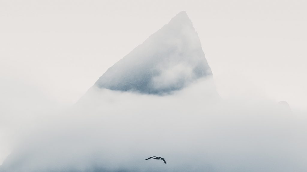 taneli lahtinen 755689 unsplash e1539829147216